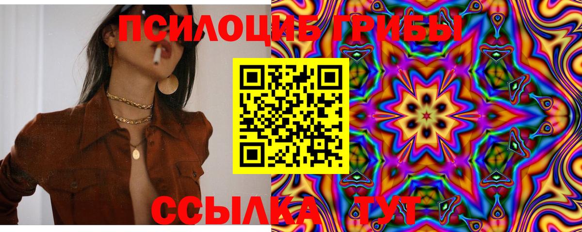 Архангельск  Галлюциногенные грибы Psilocybine cubensis  Галлюциногенные грибы Psilocybe  Вход с VPN 
