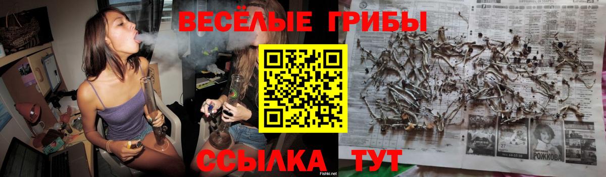 Галлюциногенные грибы прущие грибы  Галлюциногенные грибы мицелий  Архангельск 